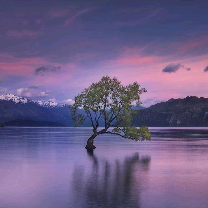 ( *✪㉨✪)✄╰ひ╯訫懿閨酃(｡˘•㉨