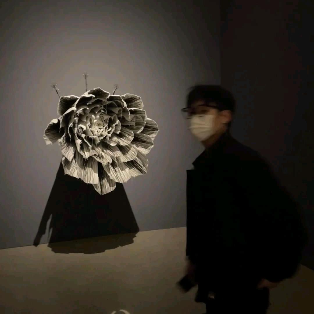 一颗心甩天下