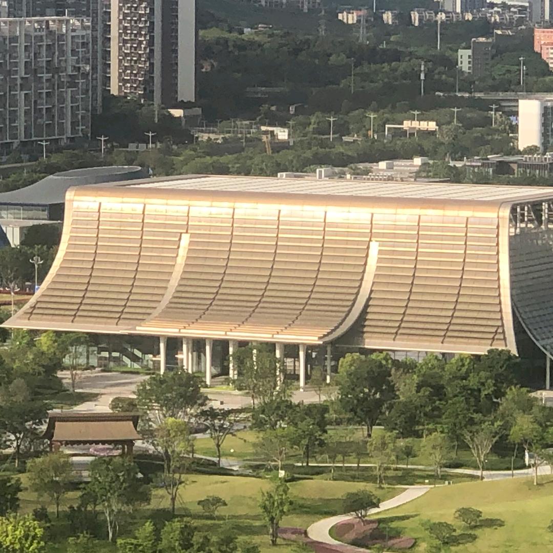 左老师教正念