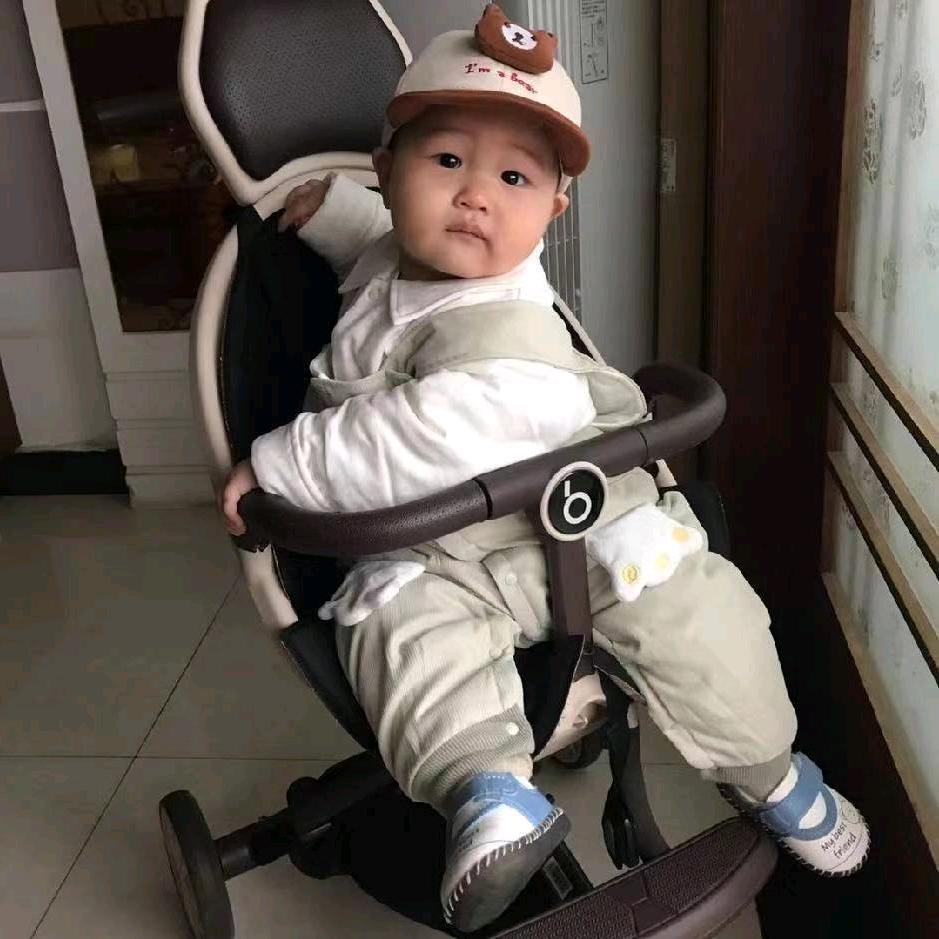 术艳.