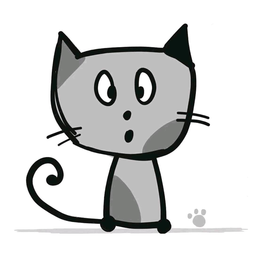 小猫手机摄影