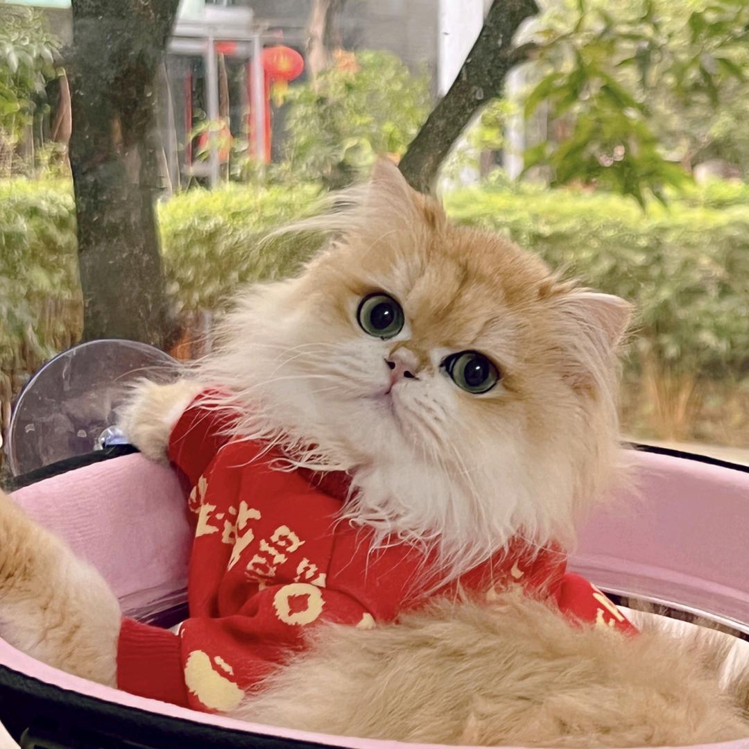 守守百货