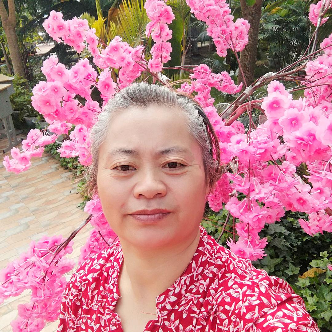 齐增花