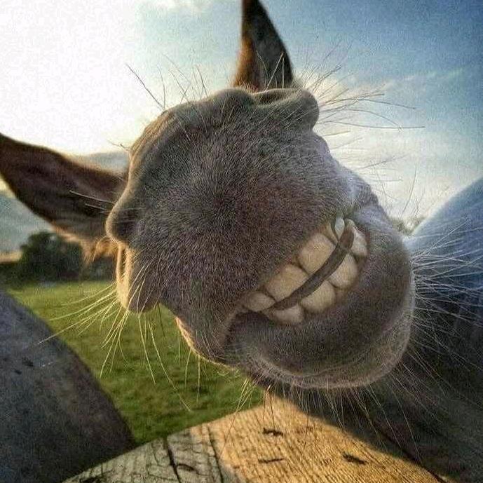 去摘遥不可及的星