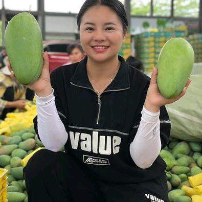 小乐乐直播授权号
