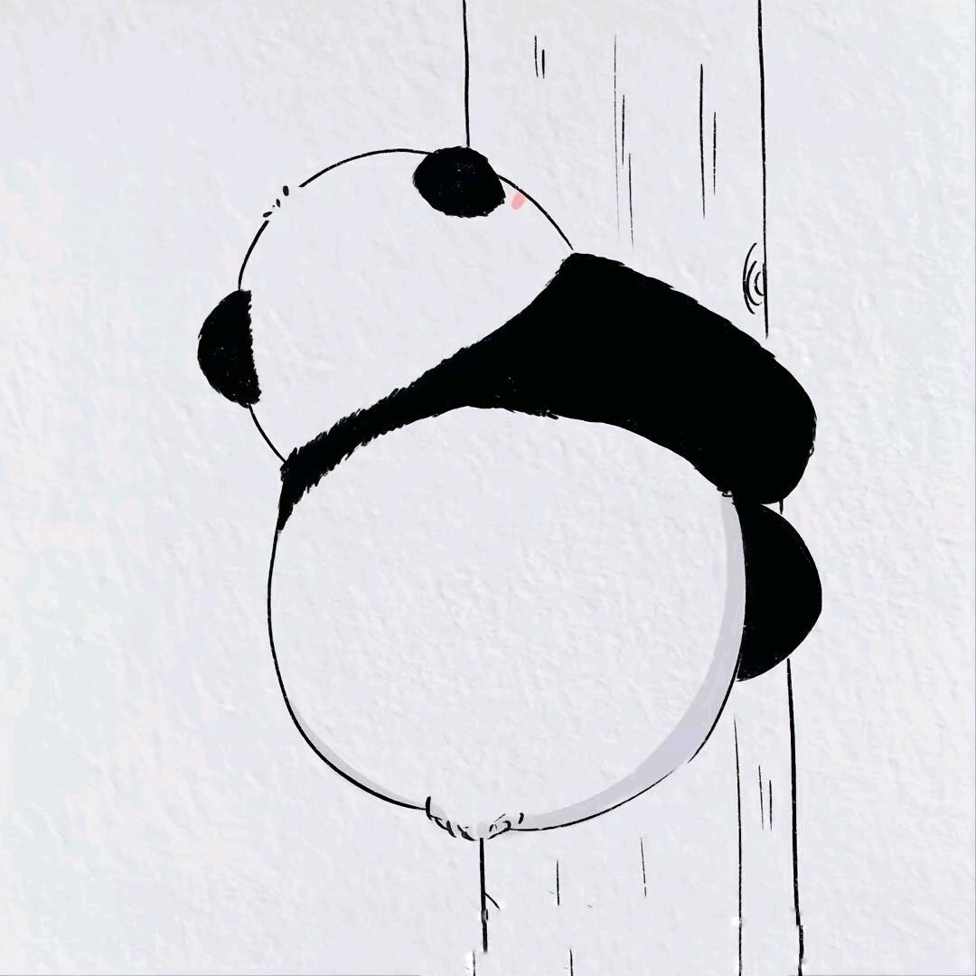 天空冲浪的乌龟