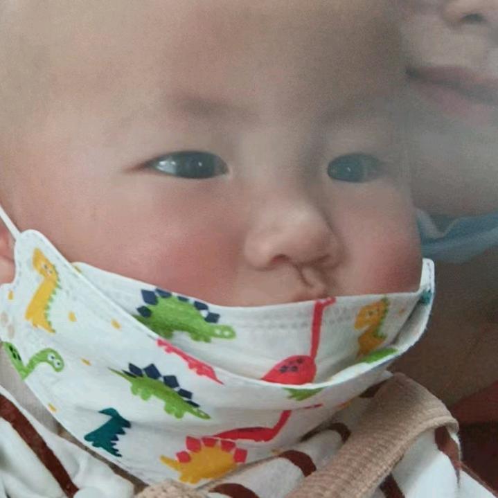 花儿与远方