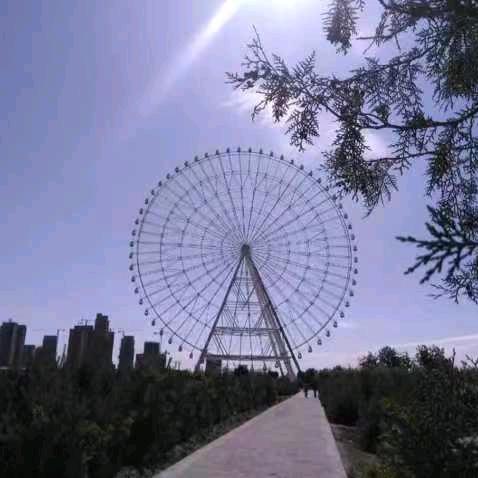 小春春东方学院138