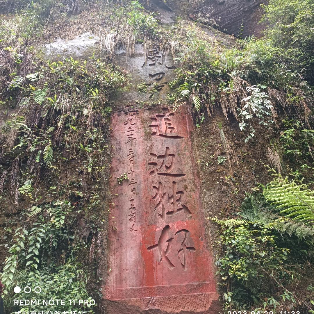 灌江小白龙