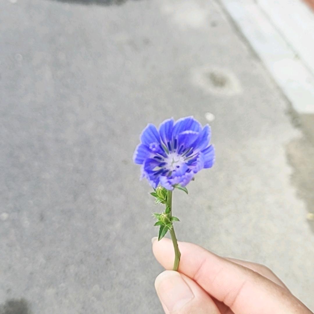 没心没肺活着不累