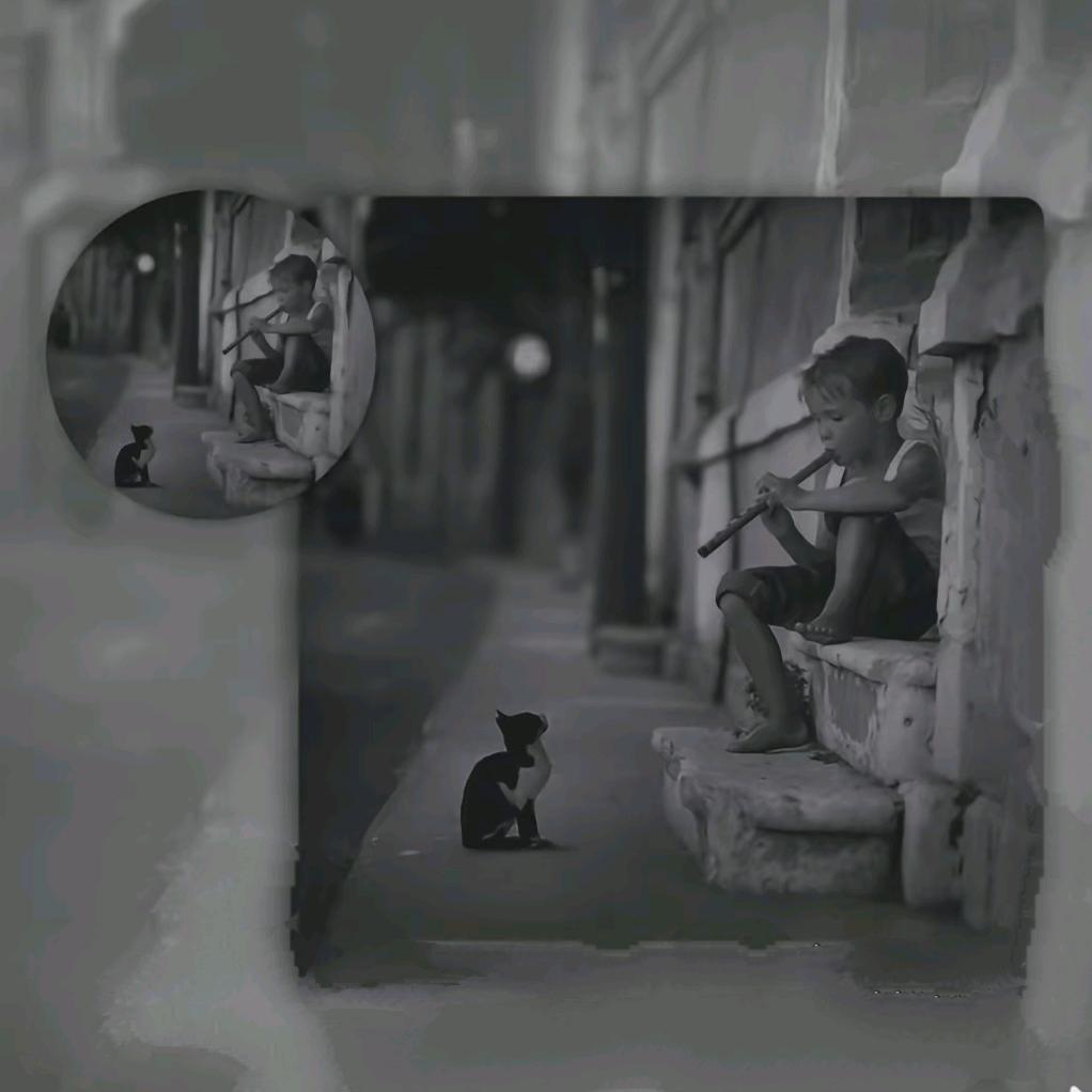 Tao.