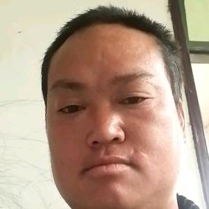 张平锅