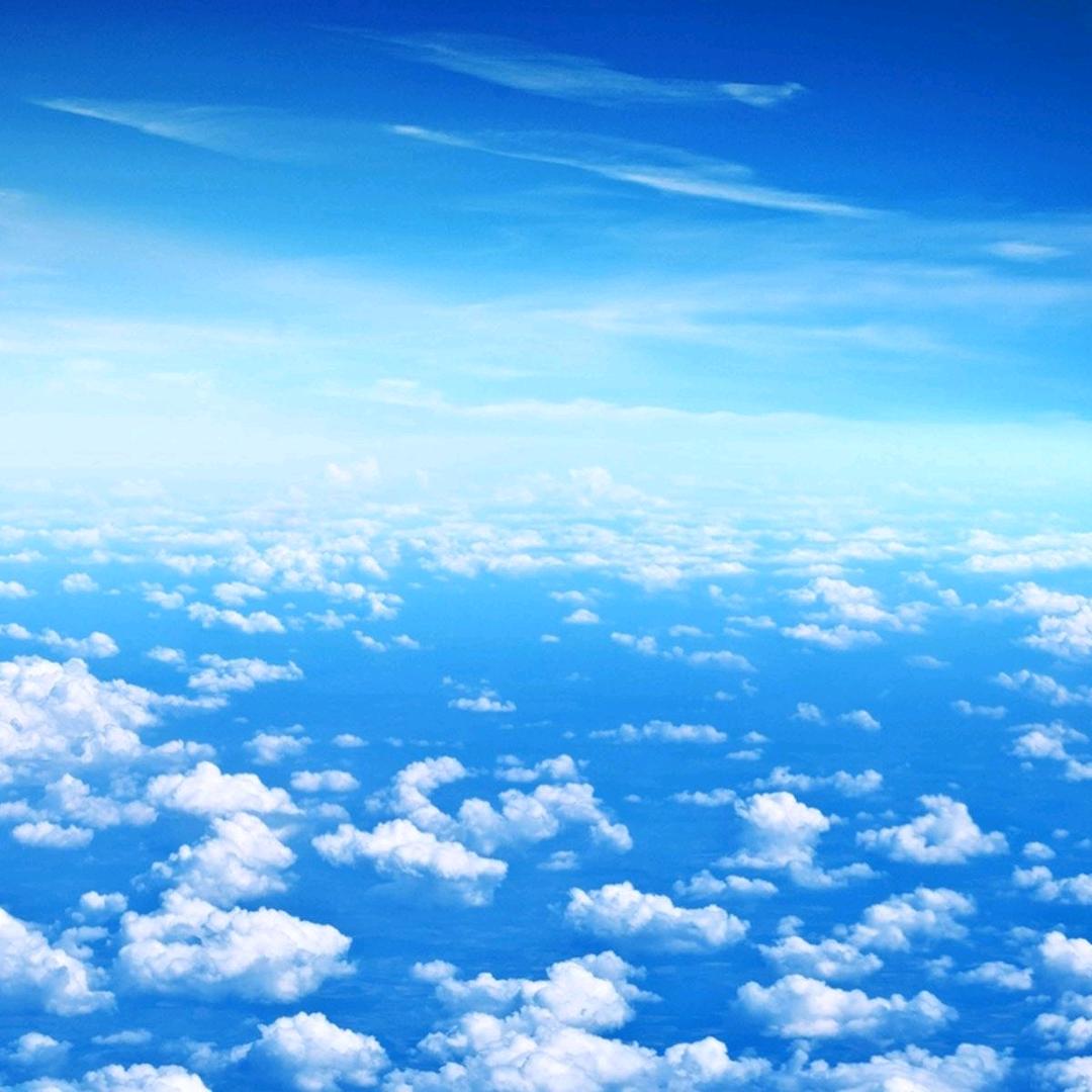 我再来时人已去