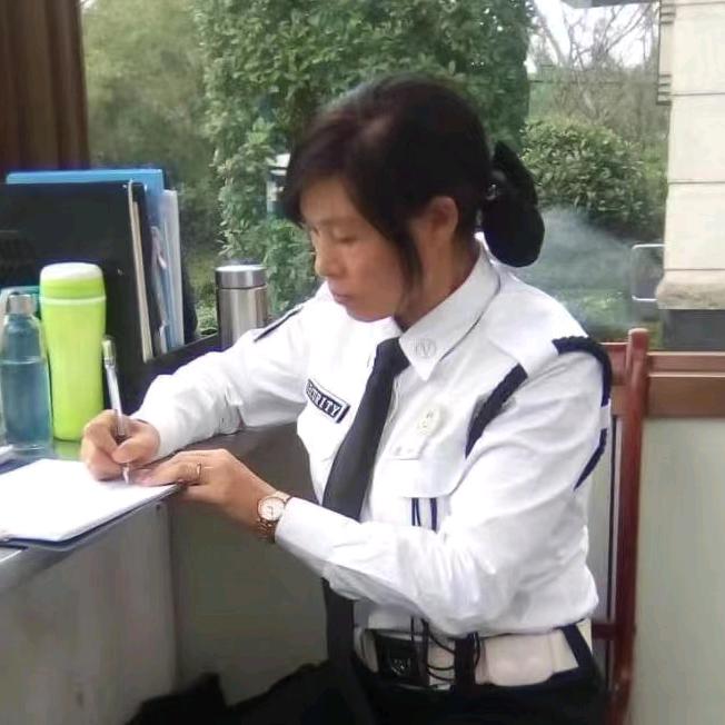 汉中小菊