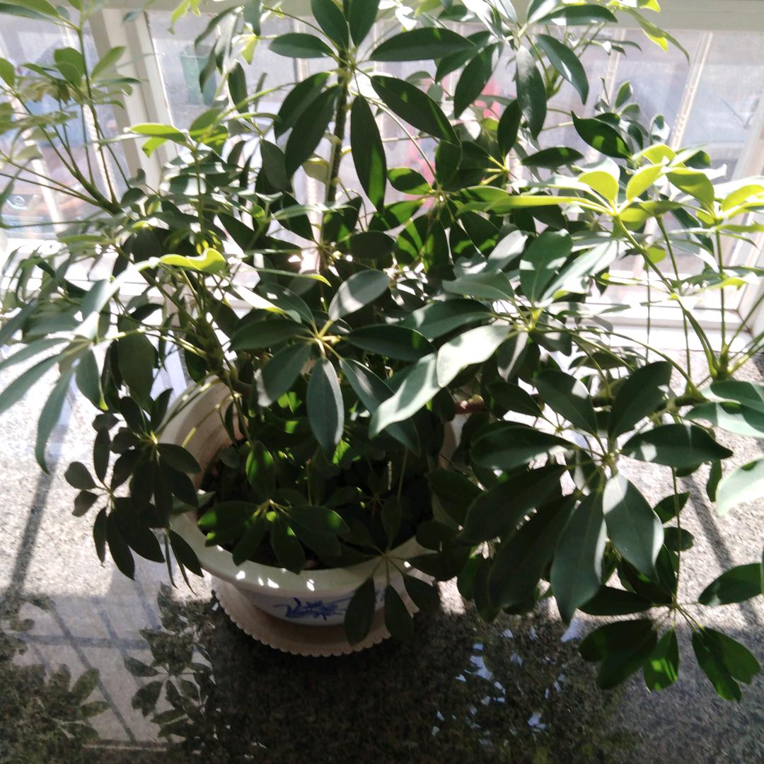 发哥！🙏🙏🙏🙏🙏🙏