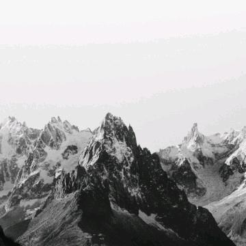 张炸天