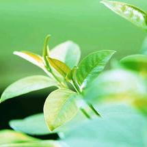 淡墨🐳💦✨º⁵²⁰