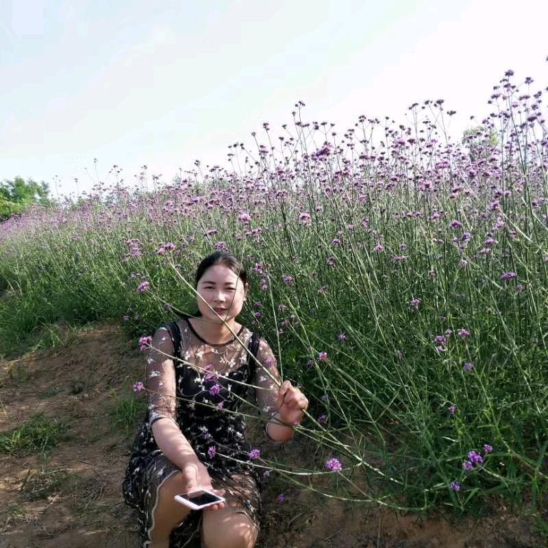 云彩轻舞