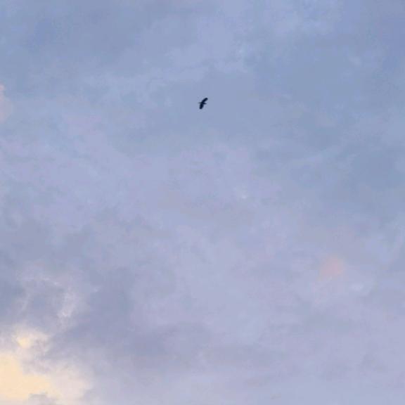 瘾大