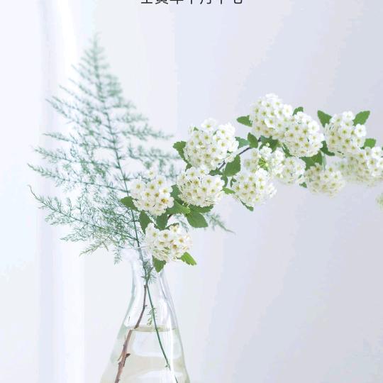 ᭄清风徐:)来