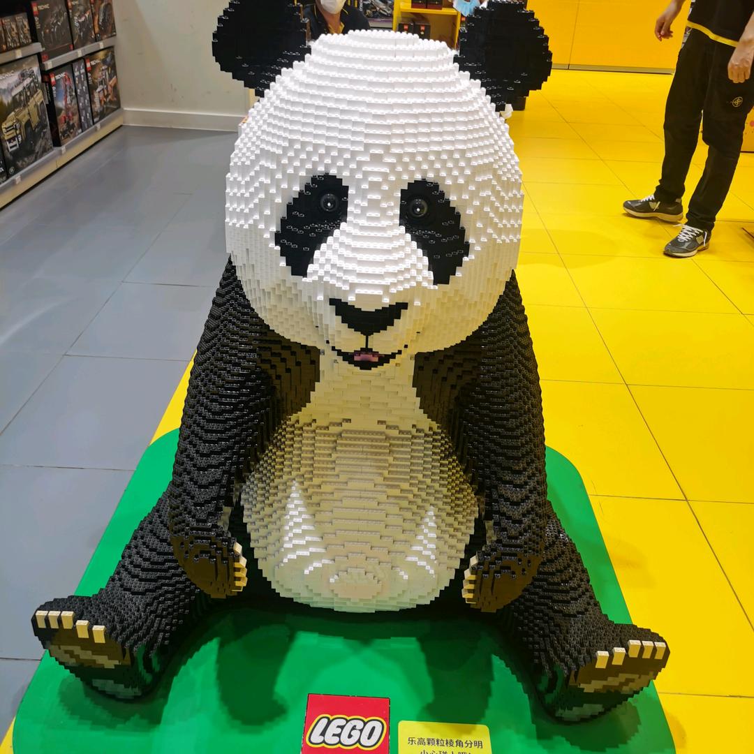 西红柿