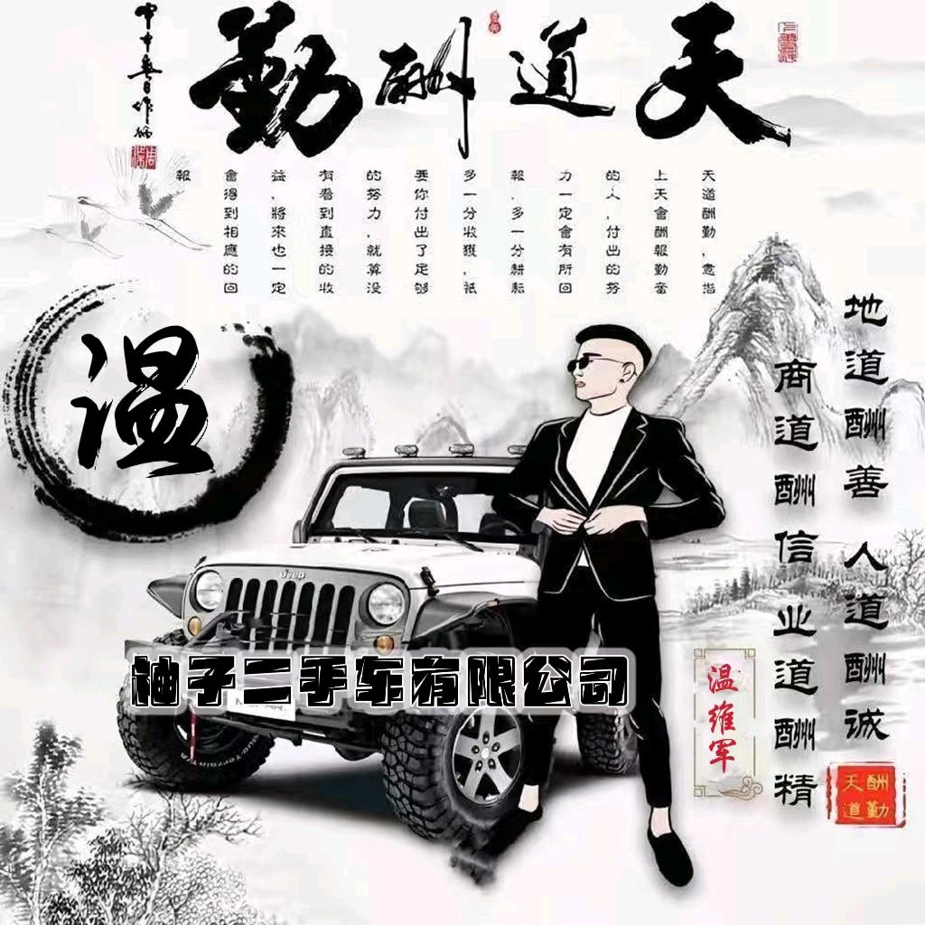 堂堂正正二手车