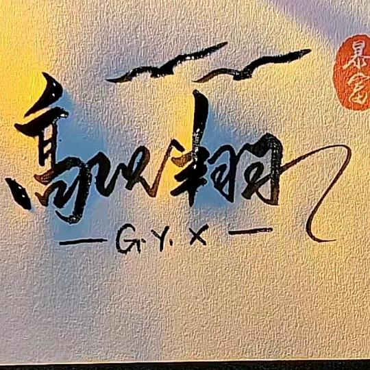 爱上抖音只为你～念翔