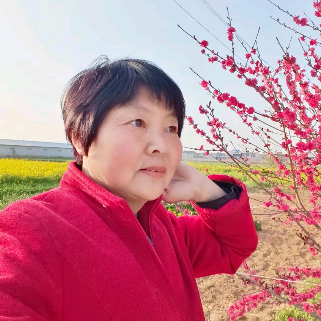 正姐首播