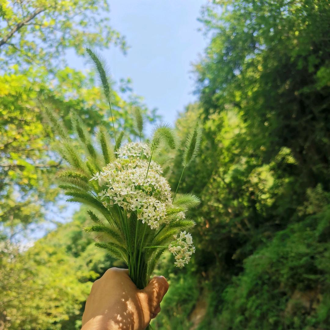 是小月亮呀