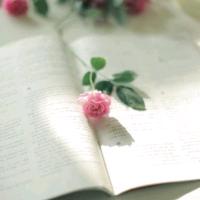 两点一线