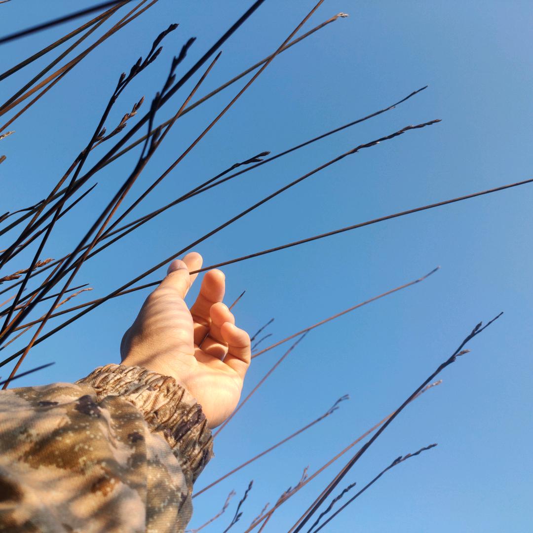 洪小帅（私人教练版）