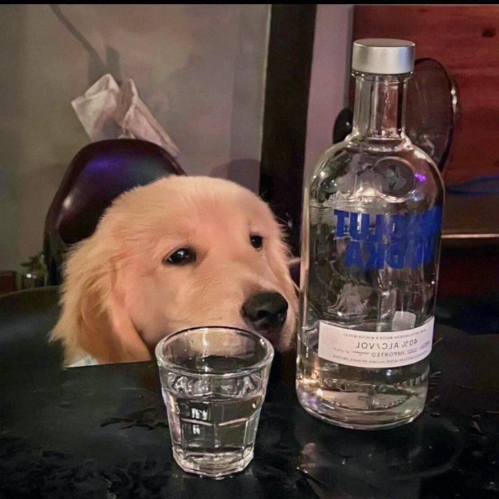 我要食麦当劳