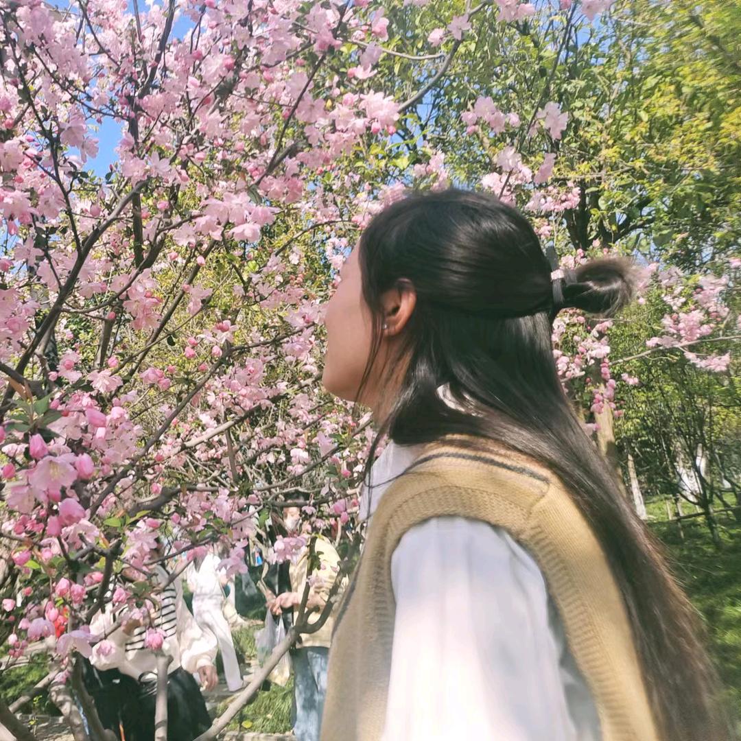 愿如意