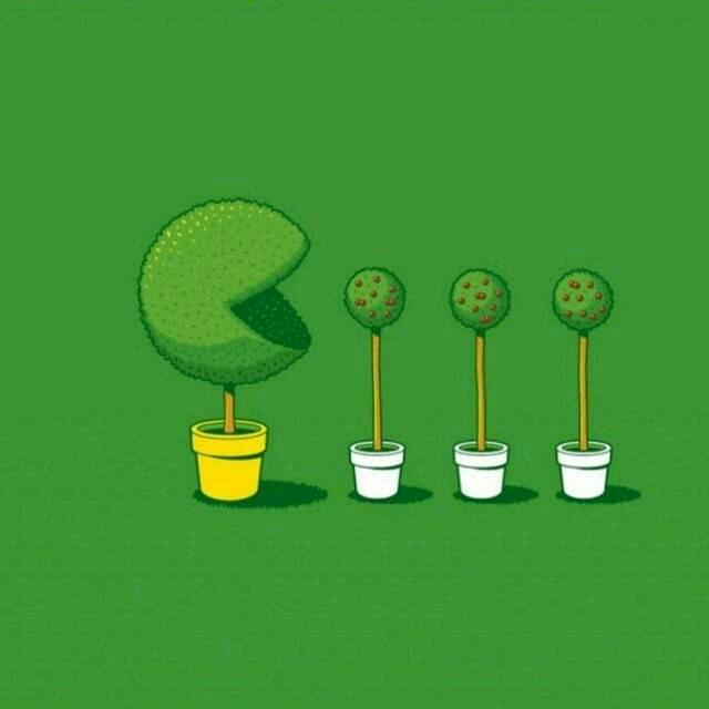 雨中星