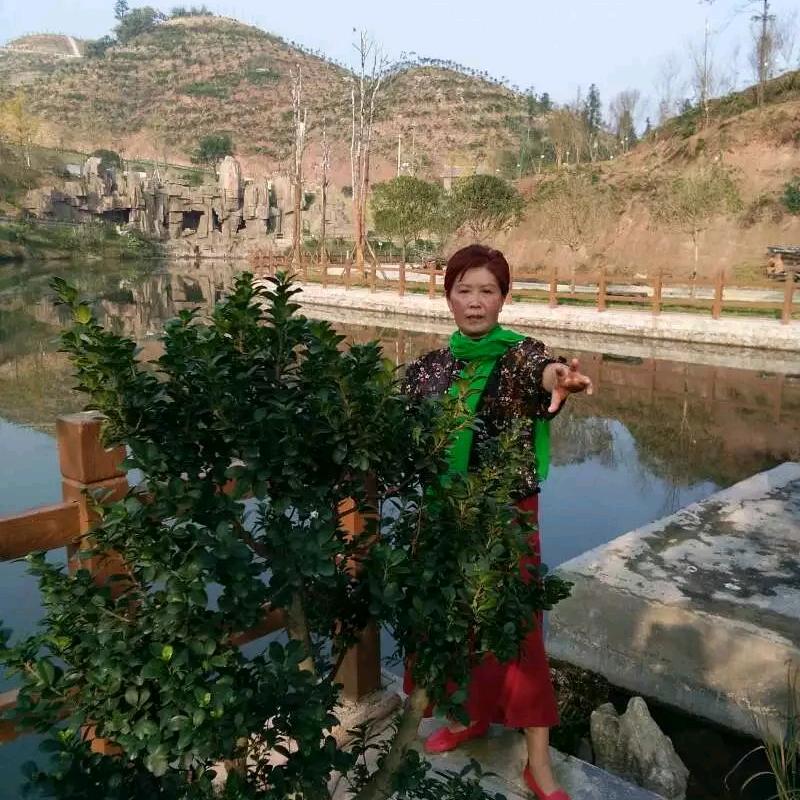 胡三姐