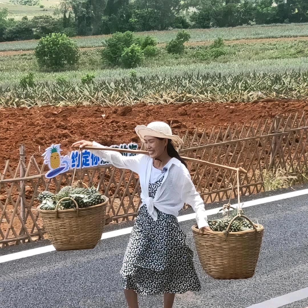 菠萝西施