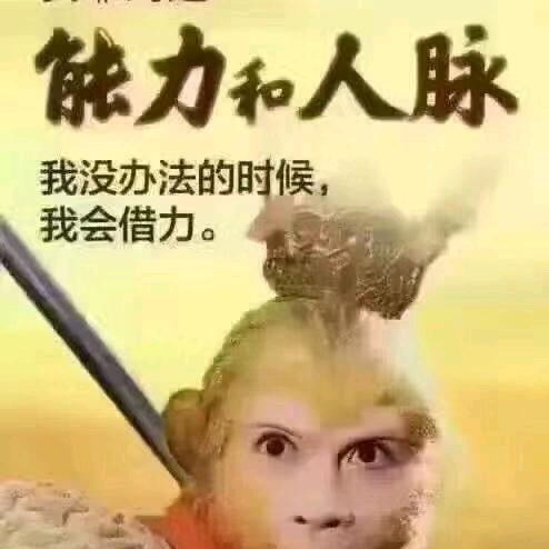 名字代号