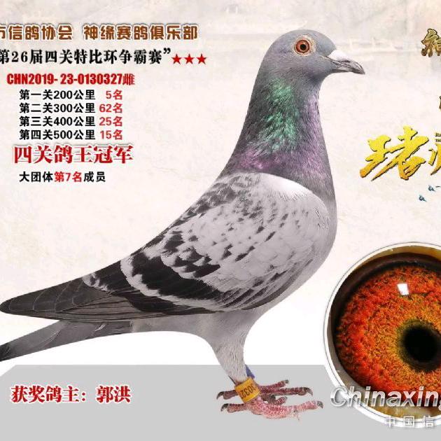 好孤独