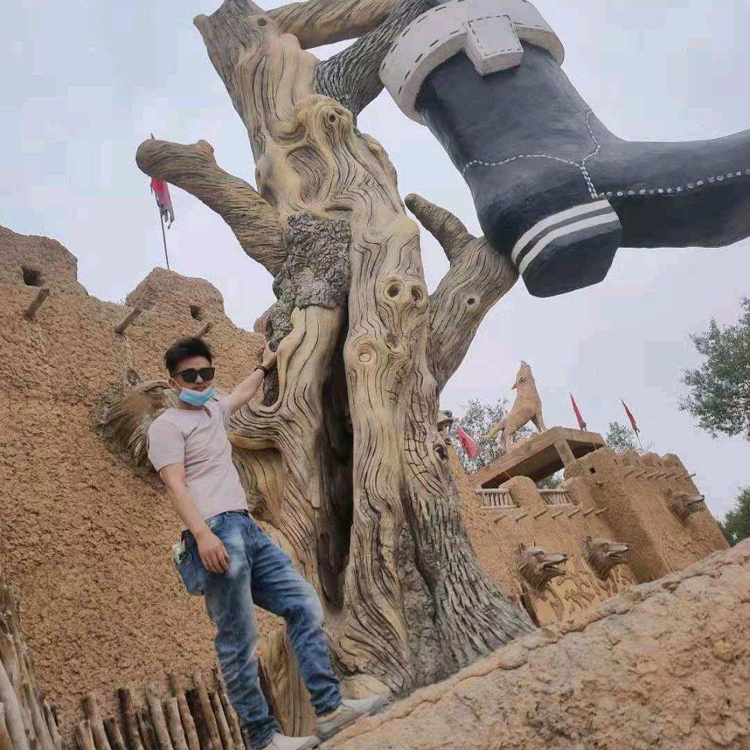 园林景观假山假树庭院改造（姜）