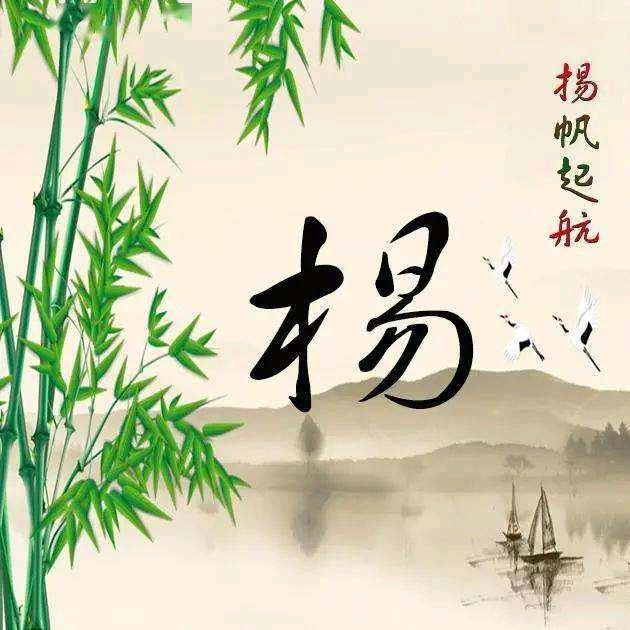 天生傲骨岂能输