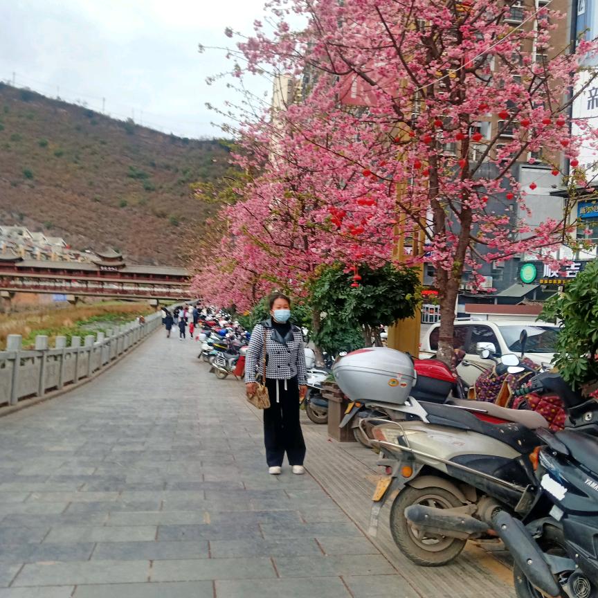 淡淡玫瑰🌹淡淡清香