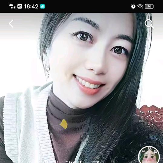 笨蛋