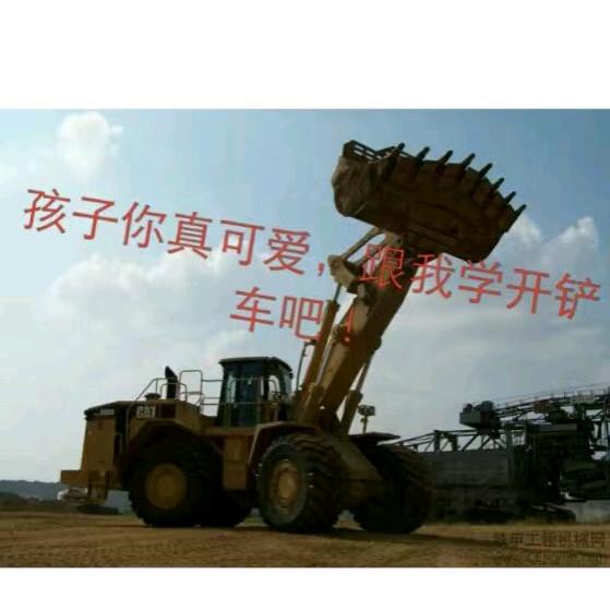 🐅¹⁹₈₆柴℘࿐