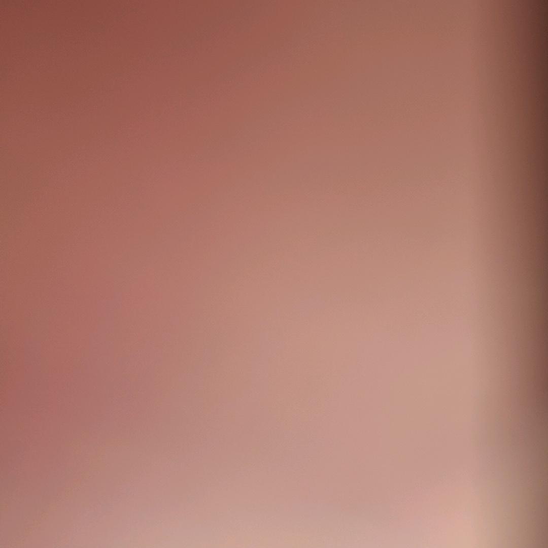李
