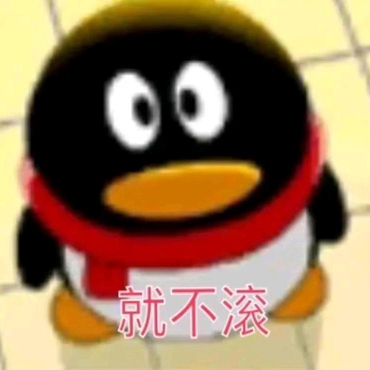 小晴晴666