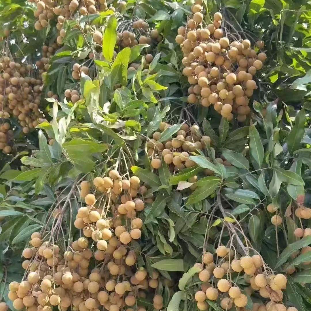 生命终会找到自己方向