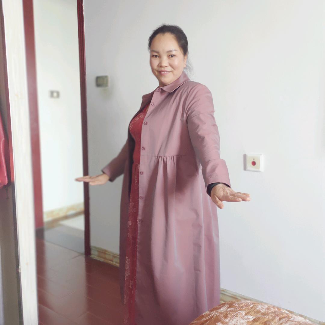 展翅飞翔的大雁