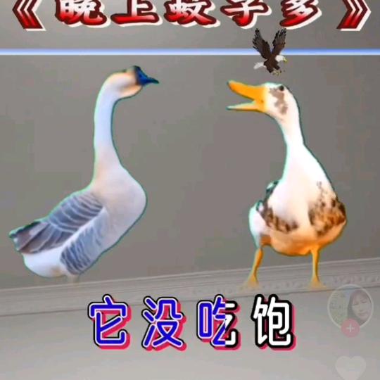 刘莲忘烦