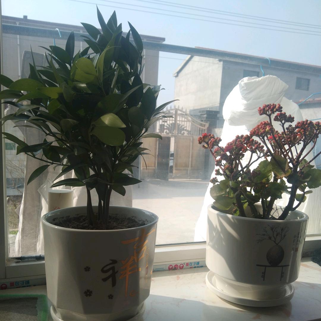 GUOHAIMIN,郭老大