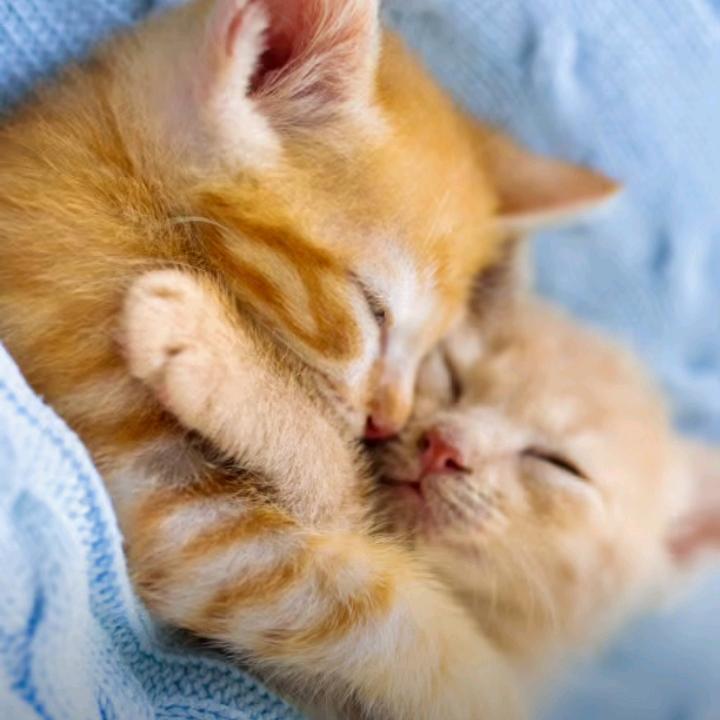 余生，难得糊涂